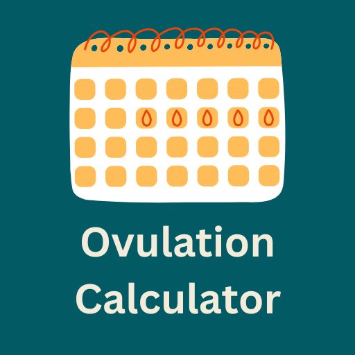 Ovulation Calculator